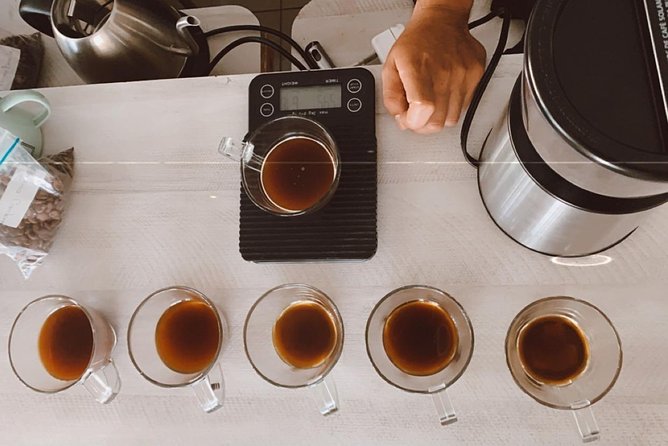 Barismo for Beginners - Good To Know