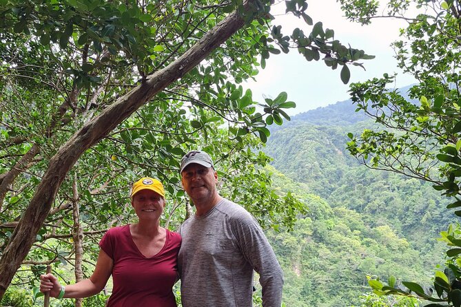 Basseterre Rainforest Hike - Inclusions