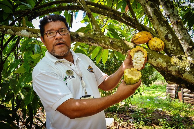 Bayaguana Countryside Safari From Juan Dolio/Boca Chica - Itinerary Highlights