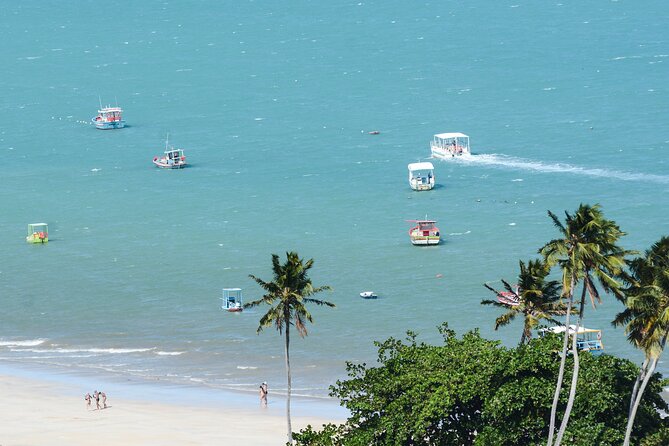 Beach Day In Maragogi With Catamaran Tour - About Your Stay