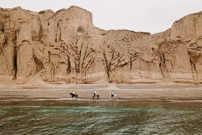 Beach Gallop - Horse Riding Safari for Experienced Riders - Good To Know