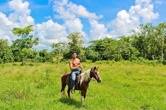 Beach Horse Ride Punta Cana - El Limon & La Sabana De Nisibon - Unique Horseback Riding Experience