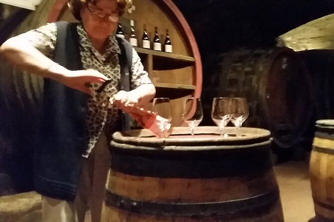 Beaujolais Region Wine Tasting Private Day Tour From Lyon - Good To Know