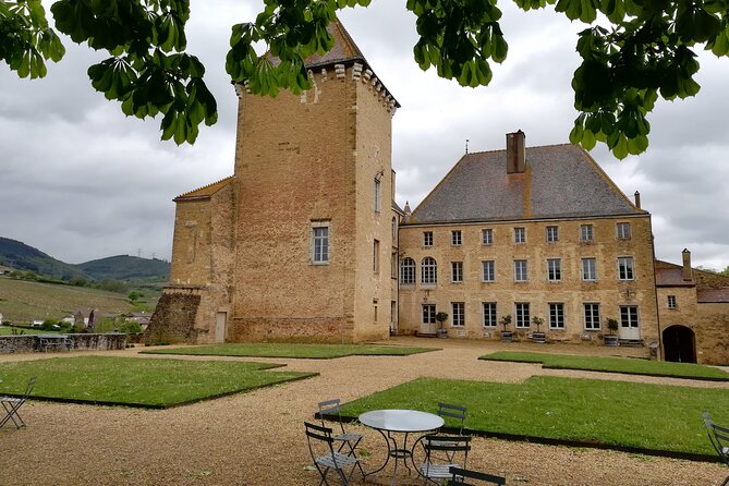 Beaujolais & South Burgundy : Private Full Day - Exploring Beaujolais Vineyards