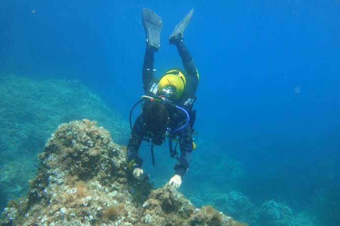 Beginners Diving in Santa Ponsa - Good To Know