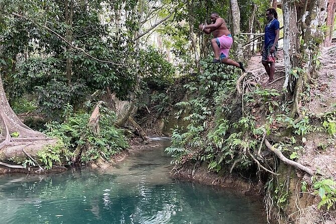 Benta River & Falls Private Tour From Montego Bay/Negril - Overview of the Benta River & Falls Tour