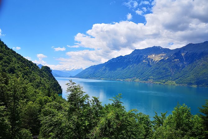Best of Bernese Oberland From Basel - Good To Know