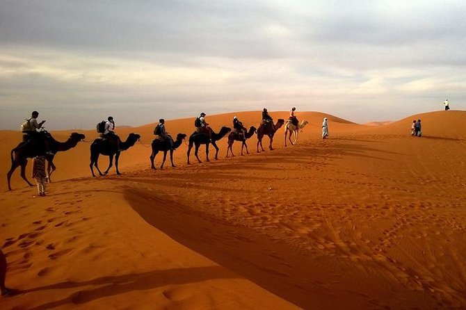 Best of Moroccan Sahara: 5-Day Guided Tour From Marrakech - Highlights of the Journey