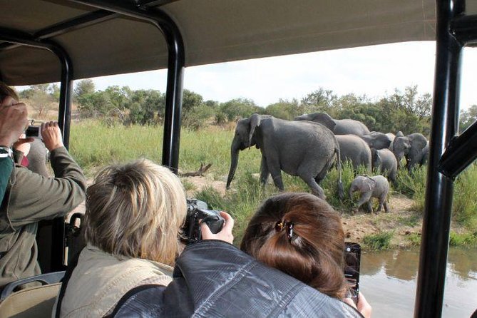 BIG 5 Kruger 3 Days Safari From Johannesburg - Good To Know