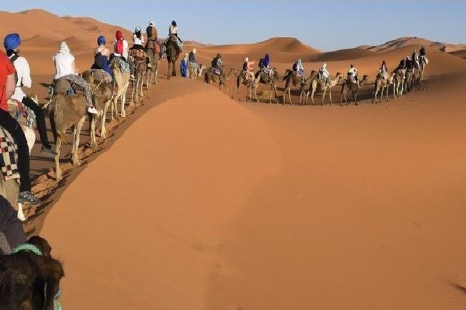 Big Morocco Tour 15 Days From Casablanca - Tour Highlights