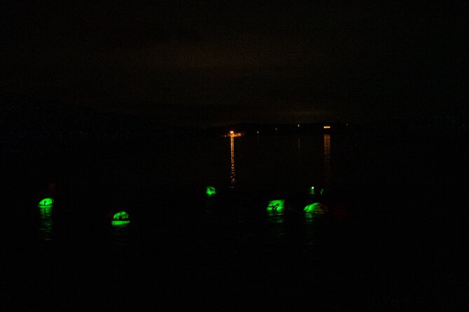 Bioluminescent Swim Experience in West Cork With Storytelling - Good To Know