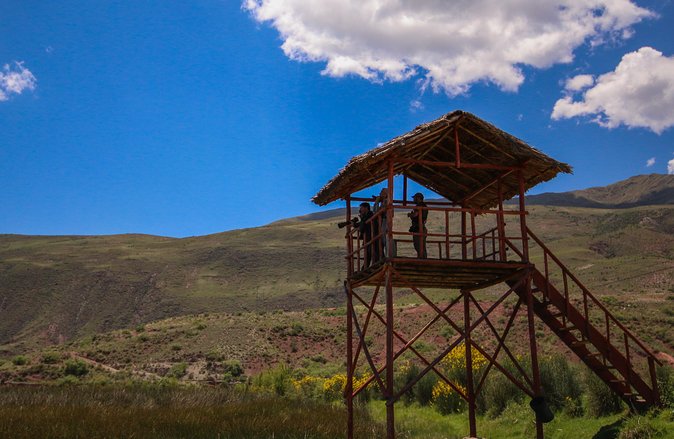 Birdwatching at Huacarpay Wetland in Cusco - Good To Know