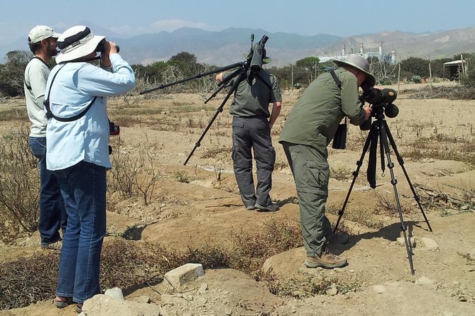 Birdwatching in Villa Wetlands - Lima - Good To Know