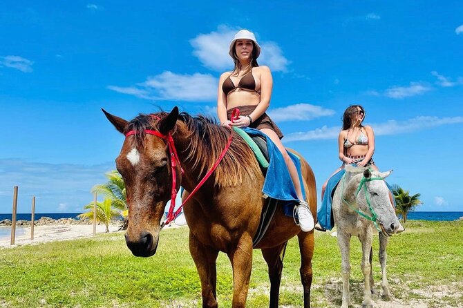 Birthday Celebration Experience in Jamaica + Transportation - Key Points
