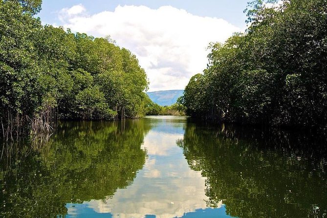 Black River Safari and YS Falls Tour From Montego Bay - Tour Overview