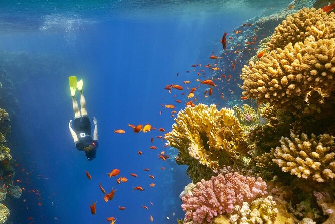 Blue Hole and 3 Pools Snorkel With Lunch From Dahab - Key Points
