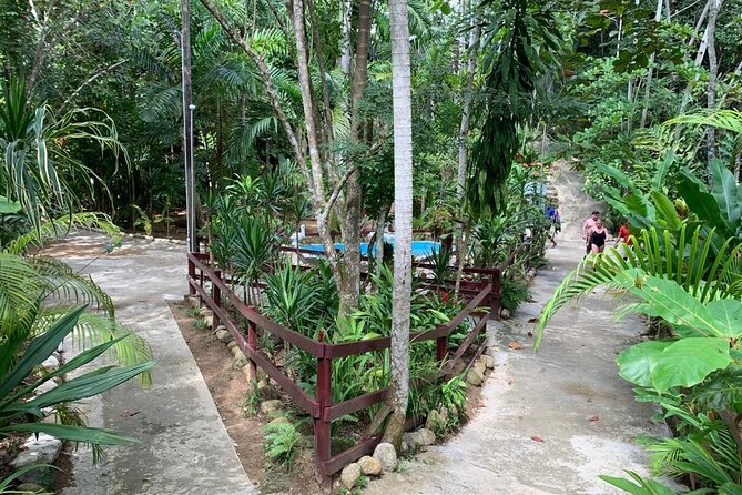 Blue Hole & Dunns River Falls With Lunch From Negril - Good To Know