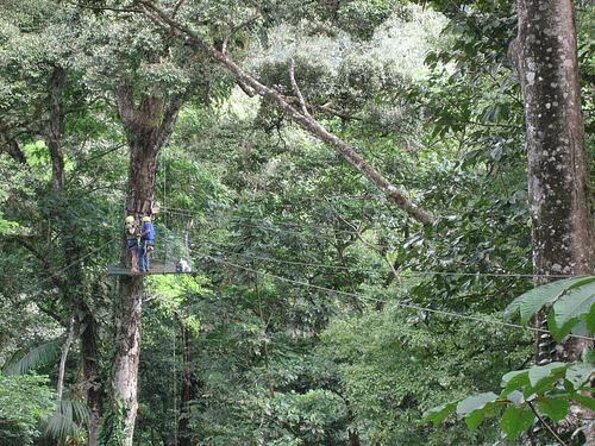 Blue Well Canopy Tour - Good To Know