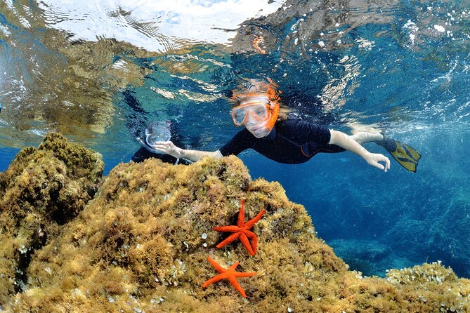 Boat Trip and Snorkeling in Calvi Review - Key Points