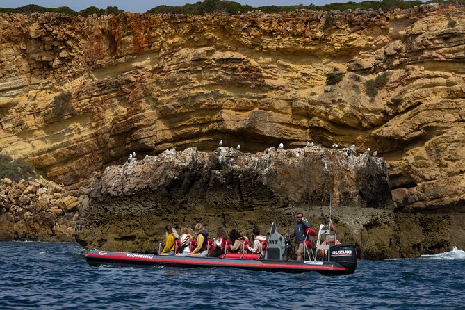 Boat Trip to the Costa Vicentina Caves - Location and Overview