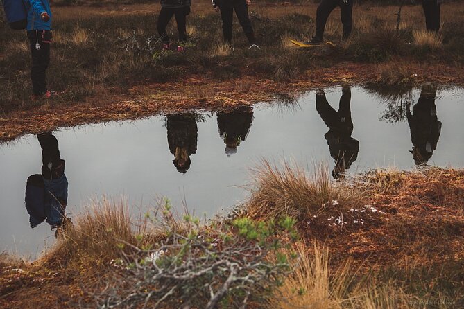 Bog-shoe Hiking Tour - Good To Know
