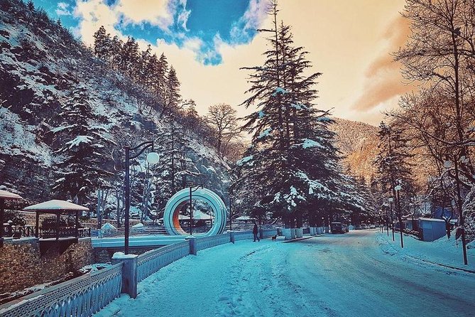 Borjomi-Bakuriani-Private Day Trip From Tbilisi - Key Points