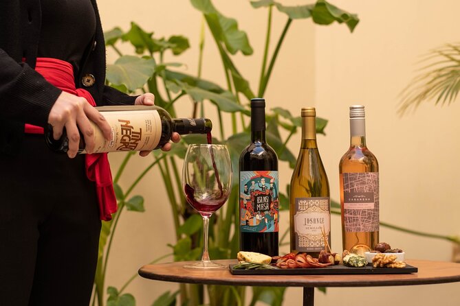 Boutique Wine Tasting: A Unique Experience in Buenos Aires - About Your Stay