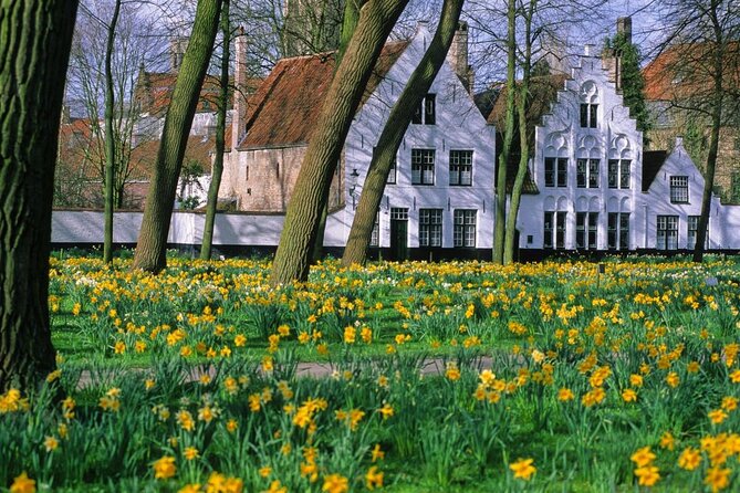 Bruges Day Trip From Brussels With a Local Guide: Private & Personalized - Good To Know
