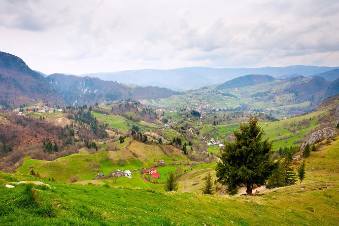 Bucovina & UNESCO Painted Monasteries Tour Review - Key Points
