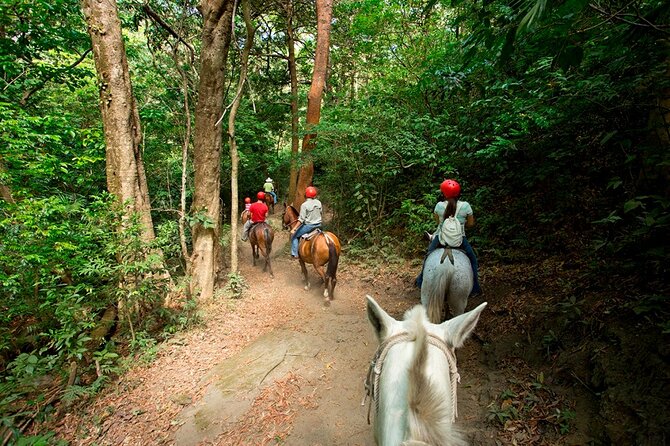 Buena Vista Mega Combo: Full Day With Private Guided Multi-Activities 8 in 1 - Good To Know