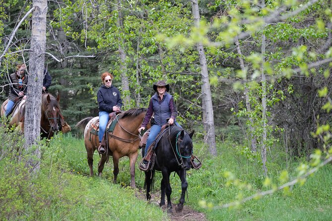 Buffalo Loop 1-Hour Horseback Trail Ride in Kananaskis - Good To Know
