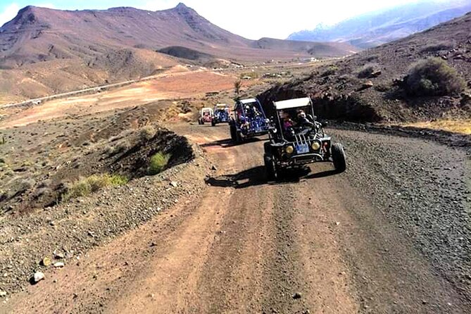 Buggy Safari In Costa Calma Review - Tour Overview