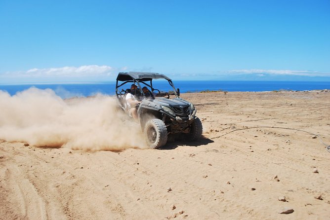Buggy Tour South Coast of Tenerife With Off-Road - Pickup and Meeting Details