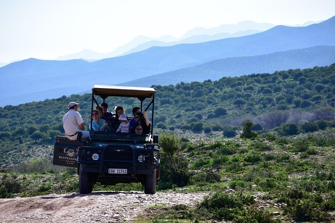 Bush Safari - Good To Know