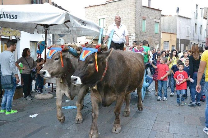 Cagliari: Discovering the Heart of Sardinia - Good To Know