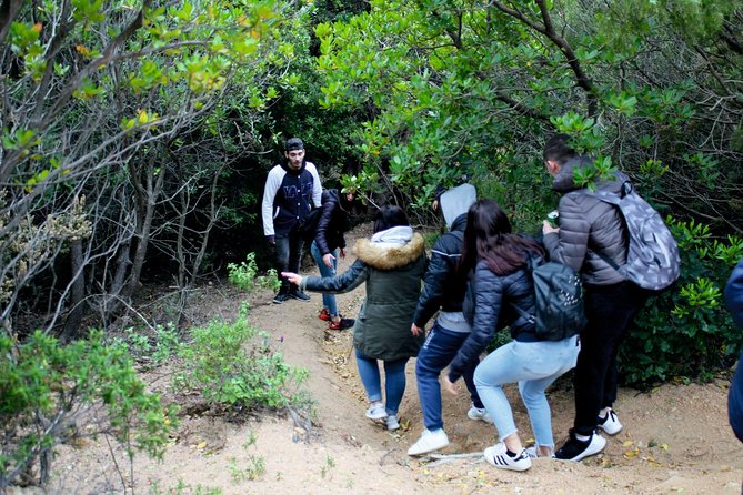 Cagliari: Trekking and Swimming at the Waterfalls From Chia - Good To Know