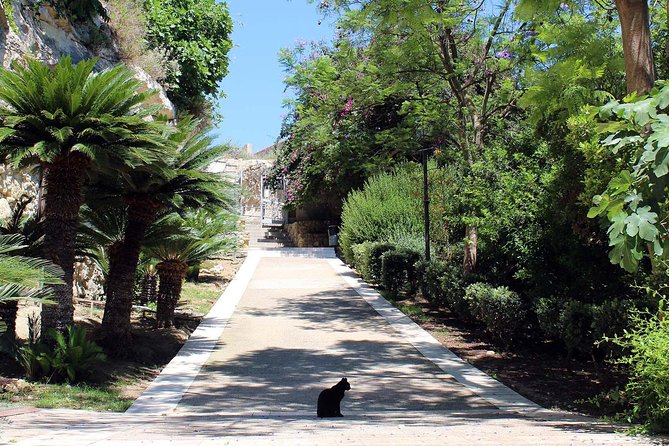 Cagliari Urban Trekking Experience: the City You Did Not Expect - Uncovering Cagliaris Captivating History