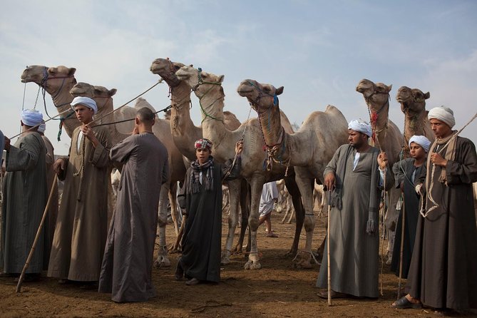 Cairo Unusual Day Tour Visit Camel Market in Birqash - Good To Know