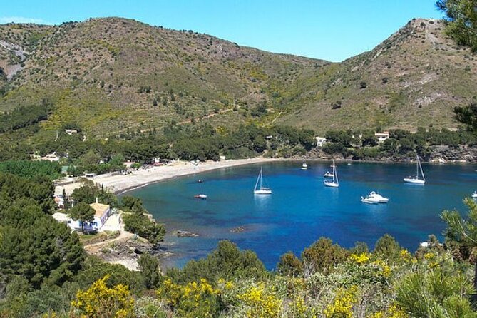 Cala Montjoi 2h 30 Experience Review - Key Points