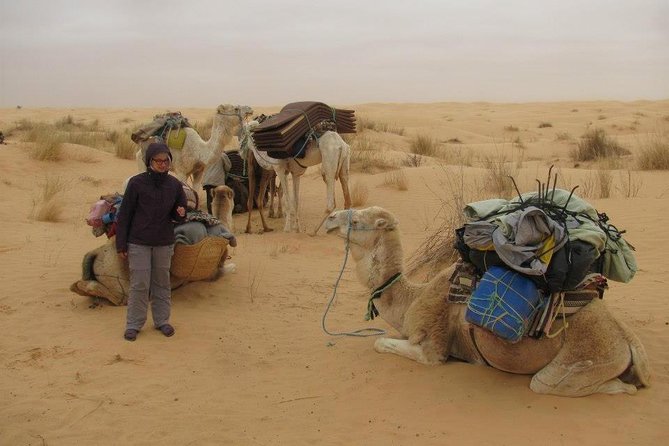 Camel Ride and 1 Night in the Desert - Good To Know