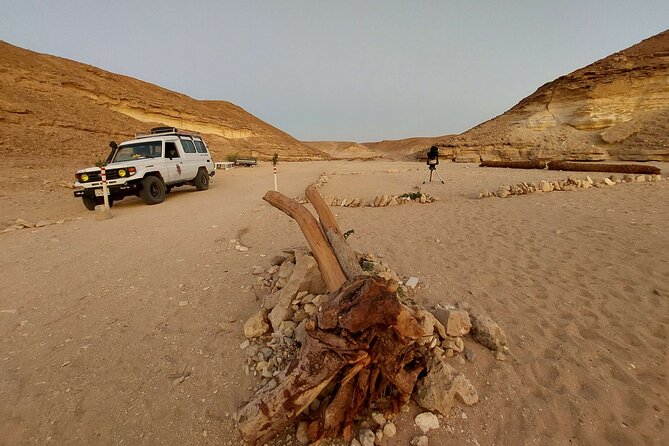 Camel Ride, Bedouin Dinner & Stargazing in 4X4 Jeep Safari in Hurghada - Tour Overview