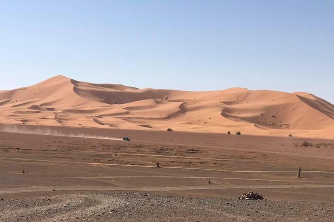 Camel Ride Experience - Good To Know