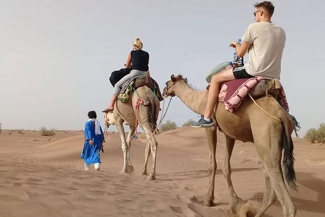 Camel Ride in Desert With Dune Bashing, BBQ Dinner and Belly Dance - Good To Know