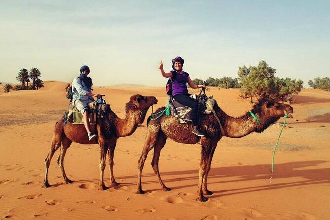 Camel Ride & Overnight Berber Camps in Merzouga Desert - Inclusions and Exclusions