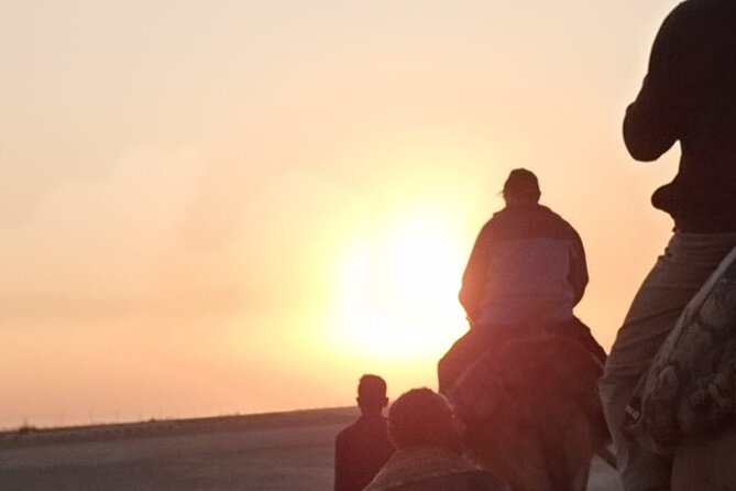 Camel Riding Tour in Luxor West Bank - Overview of the Tour