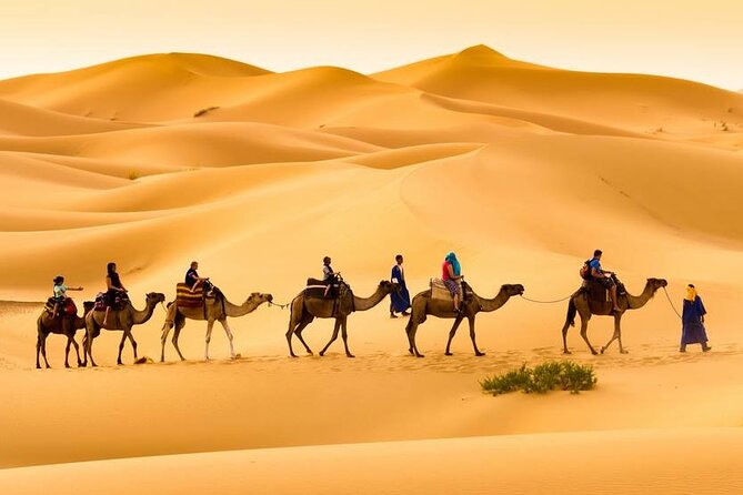 Camel Trek With 1 Night in Luxury Camp With Dinner+ Sundbording - Overview of the Experience