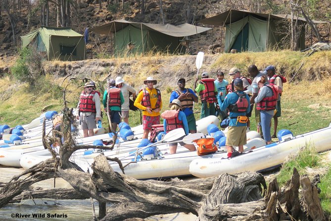 Canoeing Upper Zambezi 1 Day - River Wild Safaris - Key Points