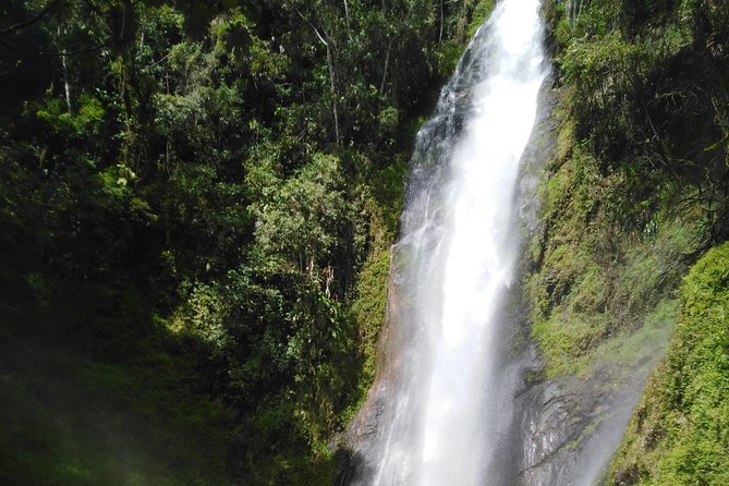 Canyonning & Coffee Experience Half Day - Thrill in the Canyons