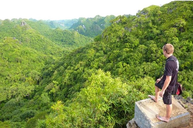 Cat Ba Trekking Tours National Park Half Day From Cat Ba Island - Good To Know