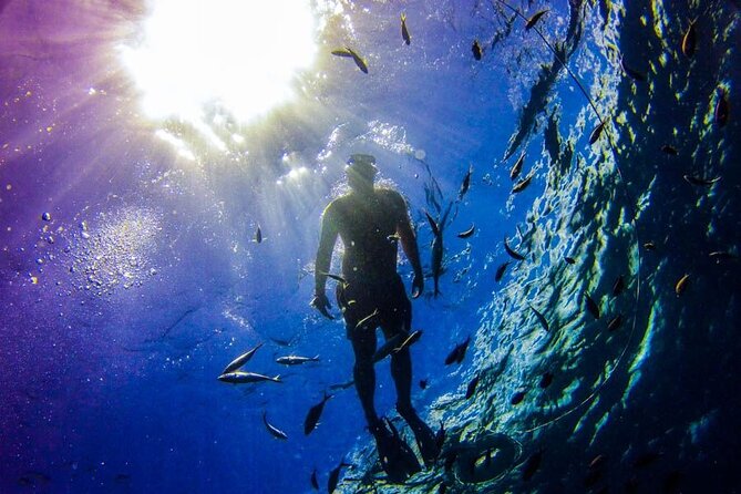 Catalina Full Day From Punta Cana - Inclusions